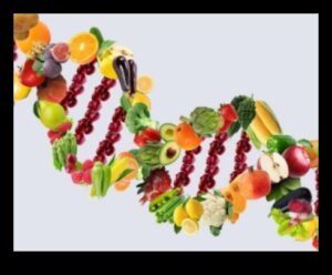 הצלחת הגנטית שלך: מדריך לתזונה מותאמת אישית עם Nutrigenomics