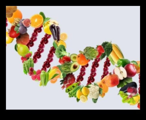 הצלחת הגנטית שלך: מדריך לתזונה מותאמת אישית עם Nutrigenomics