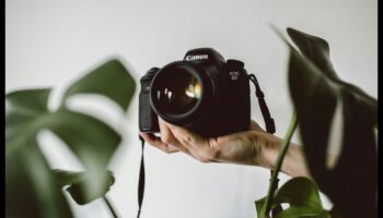 הצלחת תריס: שנה את התמונות שלך עם חינוך מקיף