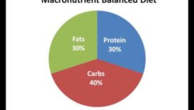 פירוק מקרונוטריינטים: מדריך ליחסים מאוזנים