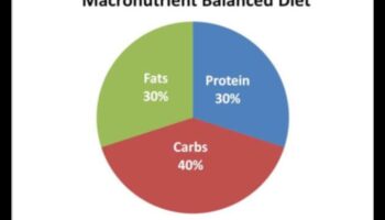 פירוק מקרונוטריינטים: מדריך ליחסים מאוזנים