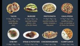 דיאטות עתירות חלבון ובריאות המעיים: קשר סימביוטי