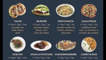 דיאטות עתירות חלבון ובריאות המעיים: קשר סימביוטי