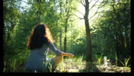 הרפתקאות ללא פליטות: התחברות לטבע באמצעות כלי רכב חשמליים