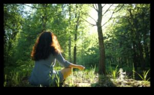 הרפתקאות ללא פליטות: התחברות לטבע באמצעות כלי רכב חשמליים