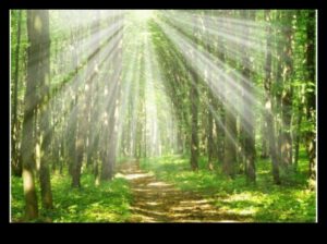 אדמות שומרי ביקור מחדש: אזורי טבע מוגנים ברחבי העולם