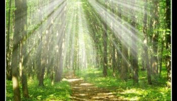 אדמות שומרי ביקור מחדש: אזורי טבע מוגנים ברחבי העולם