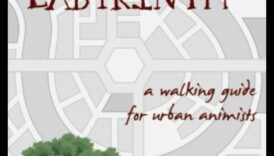 נסיעות בנוף עירוני: הנתיב היעיל דרך מבוכים עירוניים