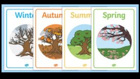 איזה תפקיד ממלאות עונות השנה בעיצוב נופים?