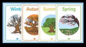 איזה תפקיד ממלאות עונות השנה בעיצוב נופים?