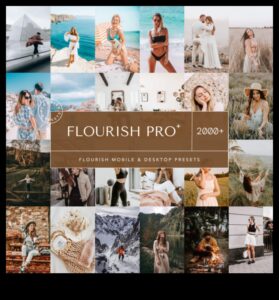 פריחת מסגרת: שליטה במלאכה שלך עם ציוד מצלמה פרימיום