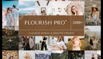 פריחת מסגרת: שליטה במלאכה שלך עם ציוד מצלמה פרימיום