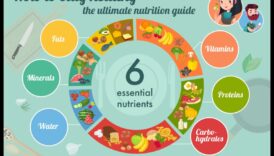 חומרים מזינים חיוניים לכל גיל ושלב בחיים