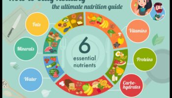 חומרים מזינים חיוניים לכל גיל ושלב בחיים